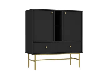 Komoda Lotina 100 cm dvojdverová so zásuvkami i wnekami - Čierny grafit / zlaté Rošt