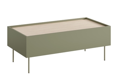 Konferenčný stolík Desin 120x60 cm - olivová / dub nagano