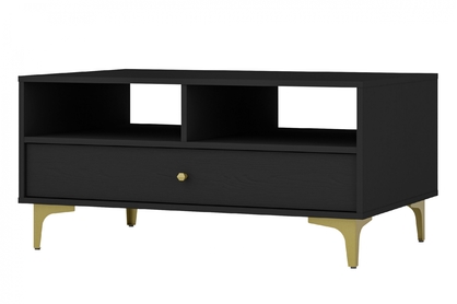 Konferenční stolek Lotina I 1S se zásuvkou 100x65 cm - černý grafit / zlaté nožky