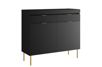 Dvojdverová komoda Sentia 105 cm s dvoma zásuvkami - čierna / zlatá
