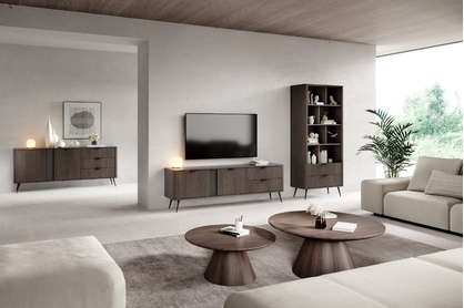 Obývacia stena Edrin I - dub dunin / čierna