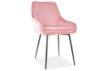 Čalouněná židle Albi Velvet - černá / antická růžová