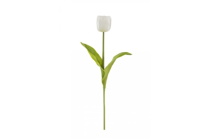 Ozdobný kvet tulipán 8 Biely