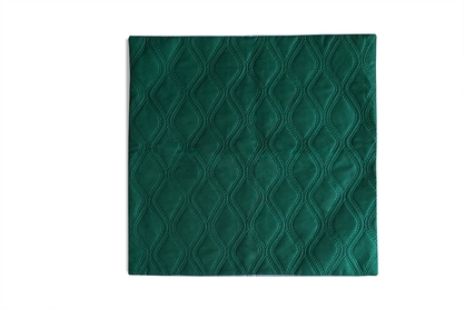 Povlak na polštář MAGNUS 40x40 Zelený/Stříbrný