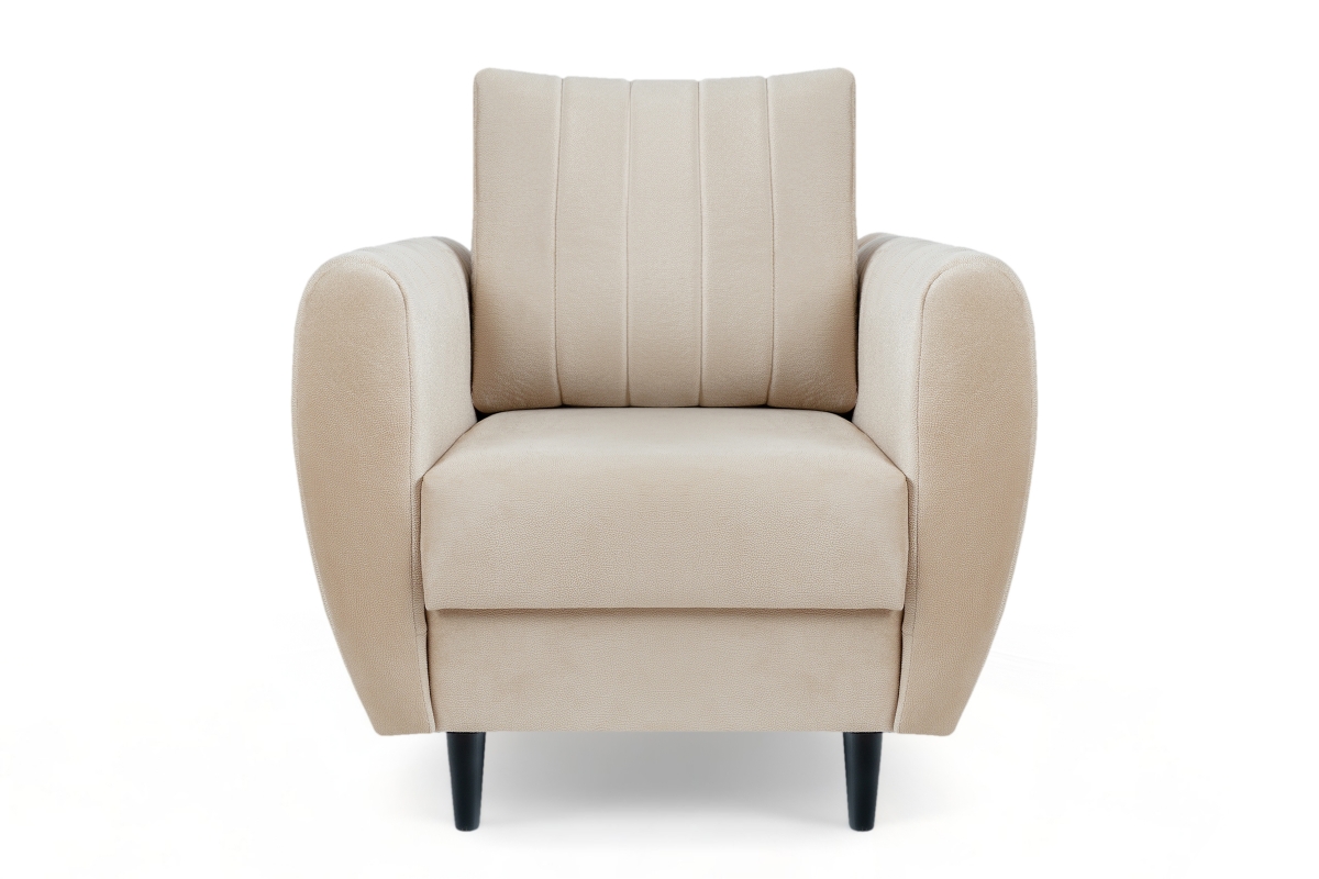 Kreslo do obývacej izby Nefios Kreslo odpočinkové do obývacej izby Nefios 