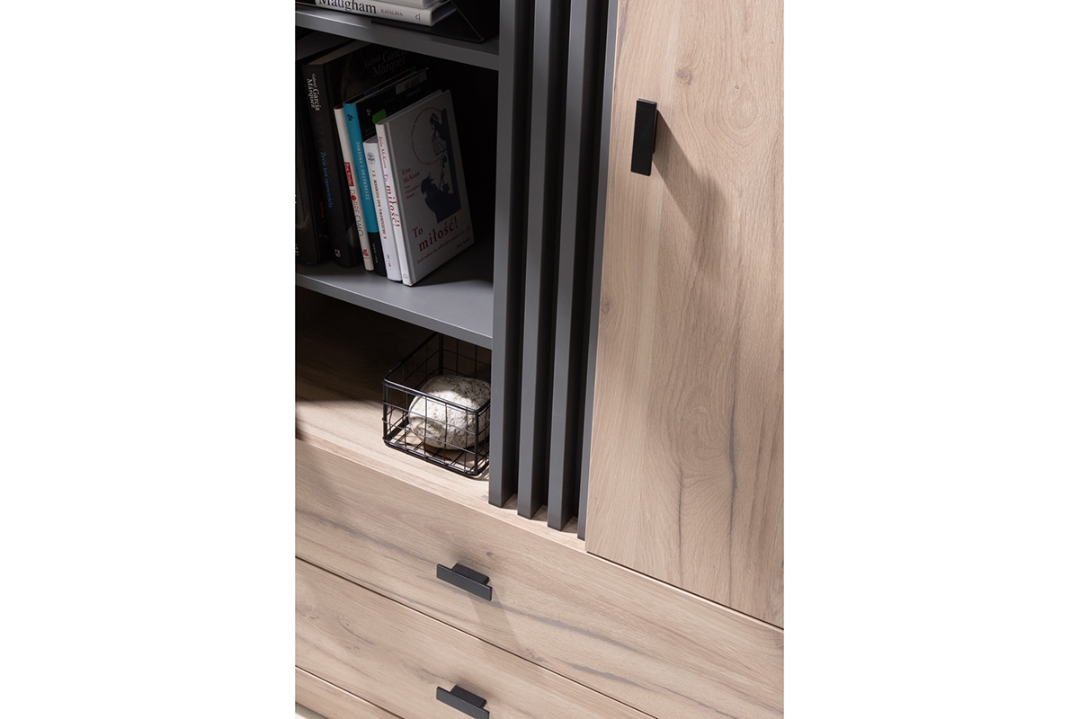 Regál jednodverová s dvoma zásuvkami Allmo AL3 - Dub estana / Antracitová Regál jednodverová s dvoma zásuvkami Allmo AL3 - Dub estana / Antracytová - solidne Prevedenie