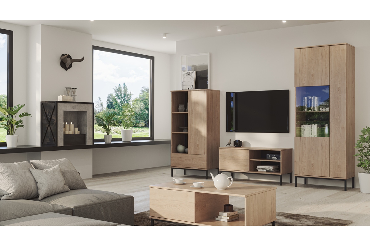 TV skříňka Tristal jednodveřová - hikora Skříňka tv na kovové podstavě