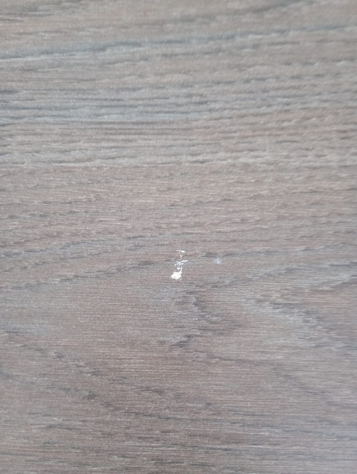 TV skrinka Sumira 170 cm z szuflada - kašmír / Dub baltic storm / Rošt Drevené - Výpredaj expozície TV skrinka Sumira 170 cm z szuflada - kašmír / Dub baltic storm / Rošt Drevené - Limitovaná ponuka expozície