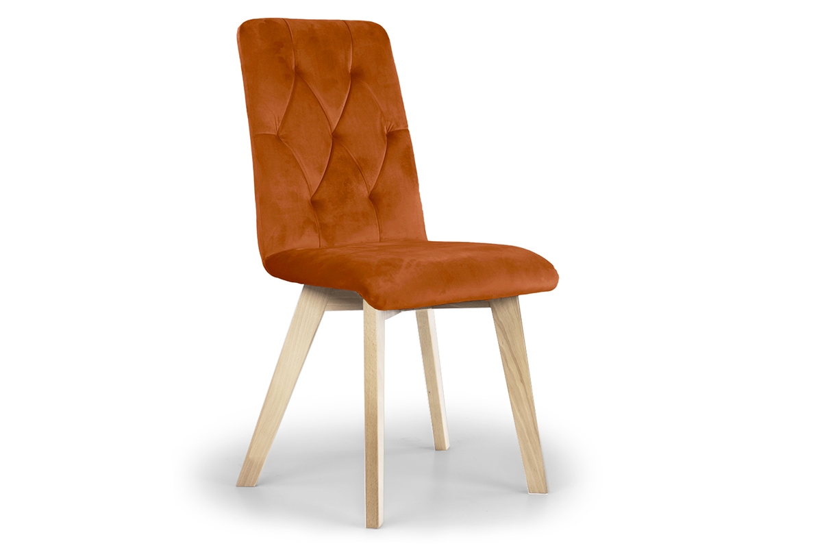 židle čalouněné Modern 5 na drewnianych nogach - Oranžový Salvador 14 / Nohy buk rude židle na bukowych nogach