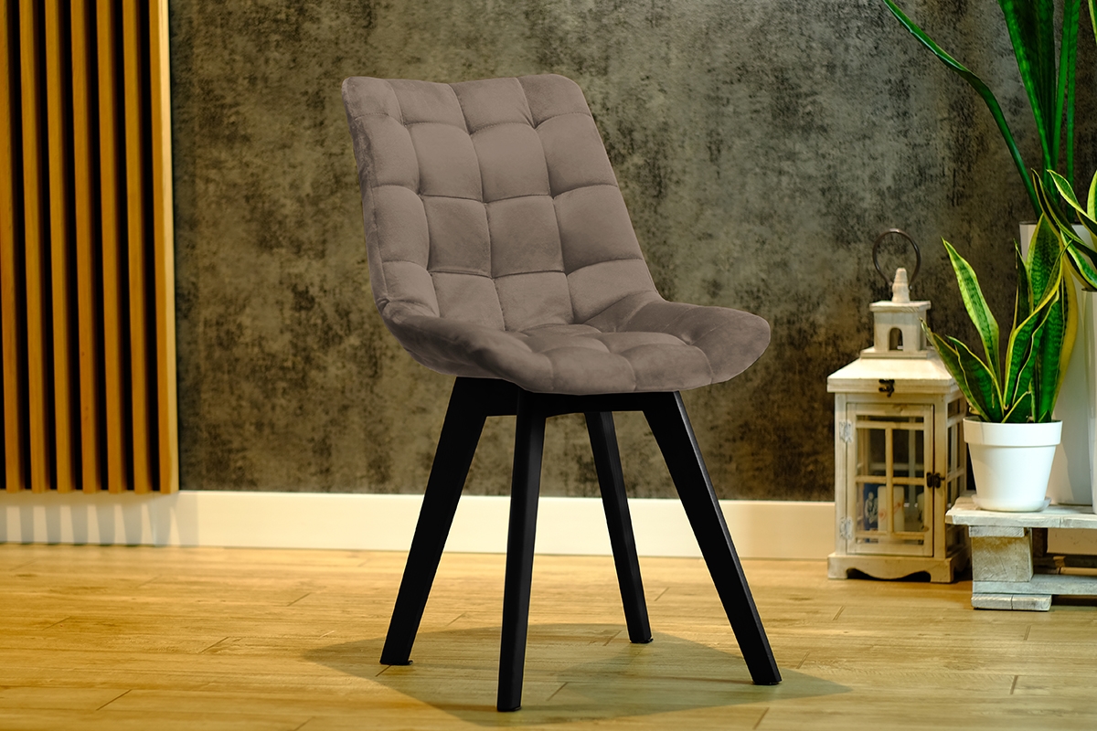 židle čalouněné Prato na drewnianych nogach - Béžová Vena 14 / černé Nohy Béžováowe židle na czarnych nogach