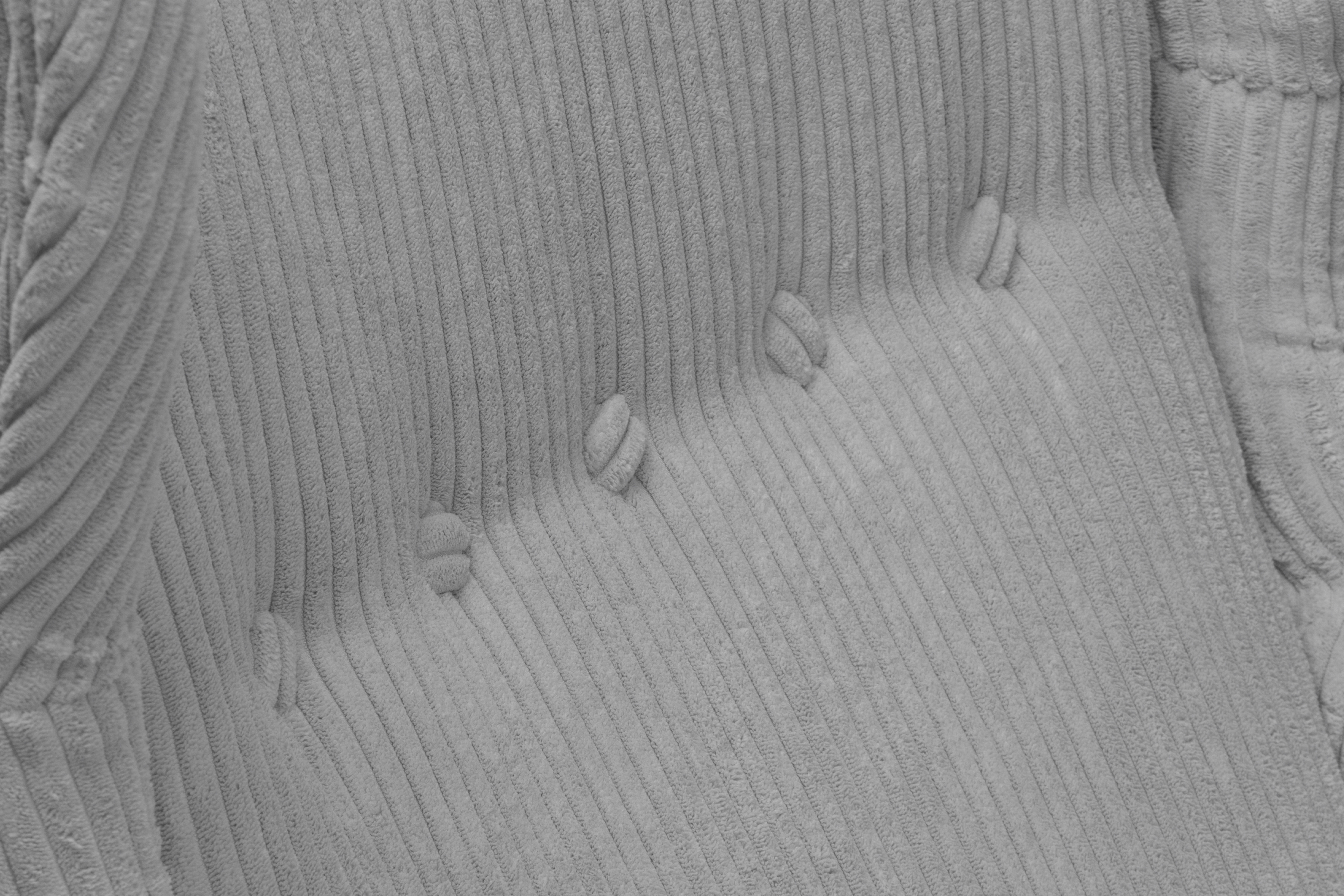 Fotel Urechea Vilano - cenușă catifea Poso 55 / Picioare fag  Fotel Urechea Vilano - cenușă catifea Poso 55 / Picioare fag 