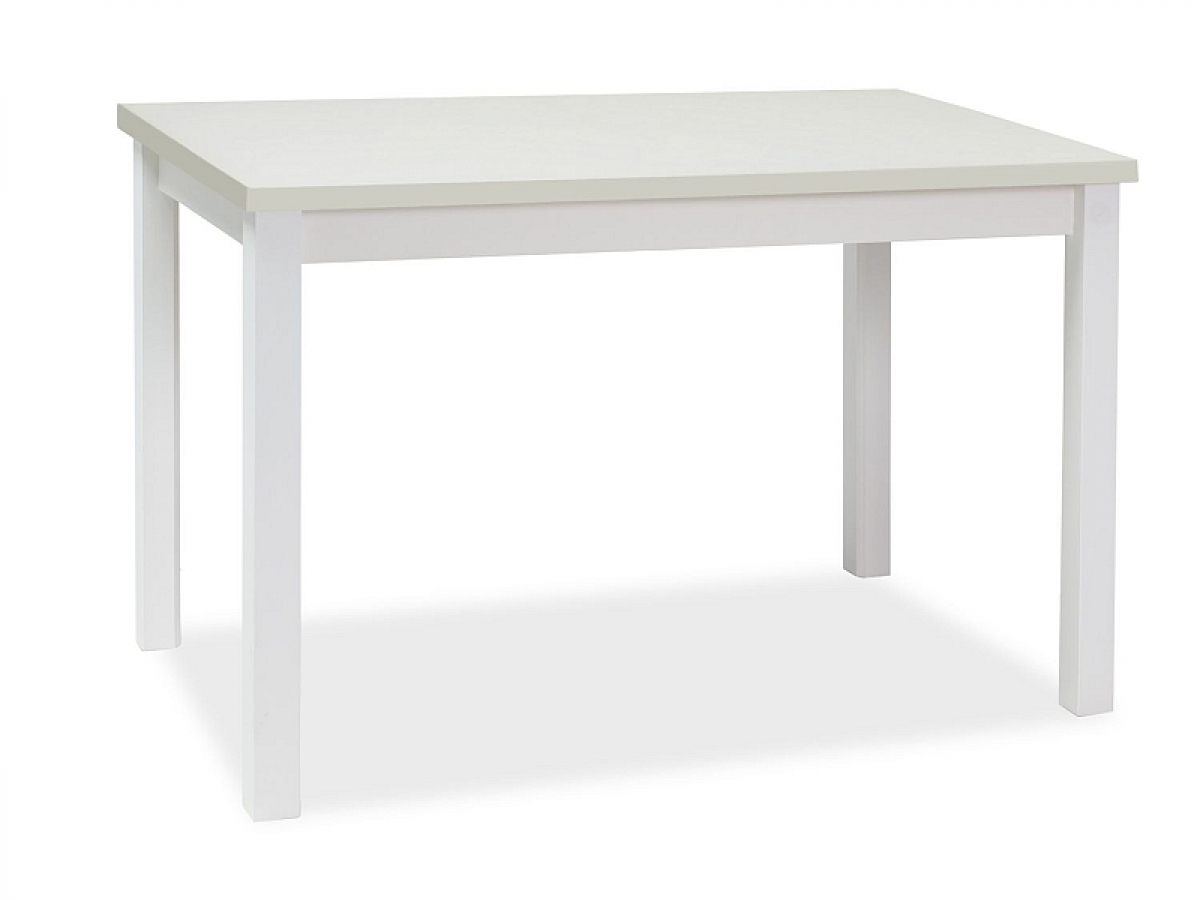 Stůl ADAM bílý MAT 100x60  Stůl Bílý