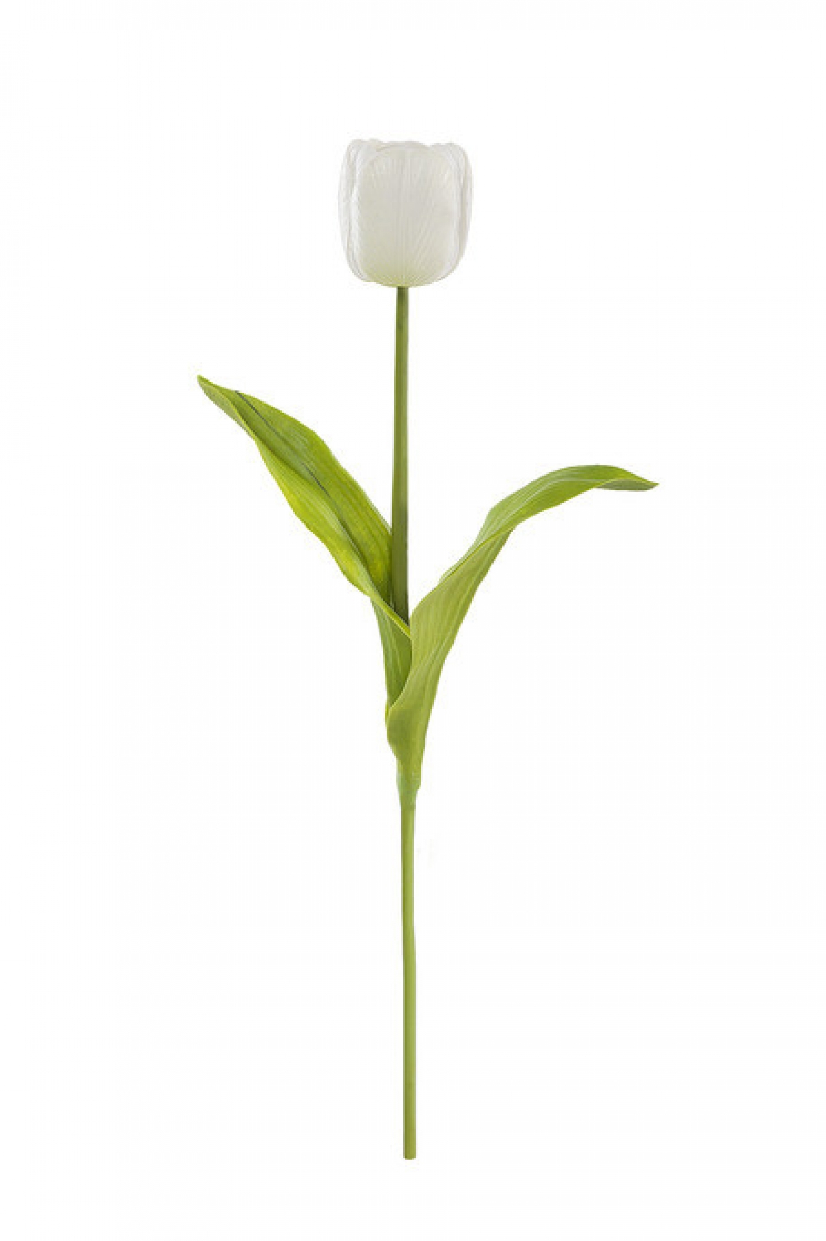 Dekorativní květina TULIPAN 8 Bílý Dekorativní květina