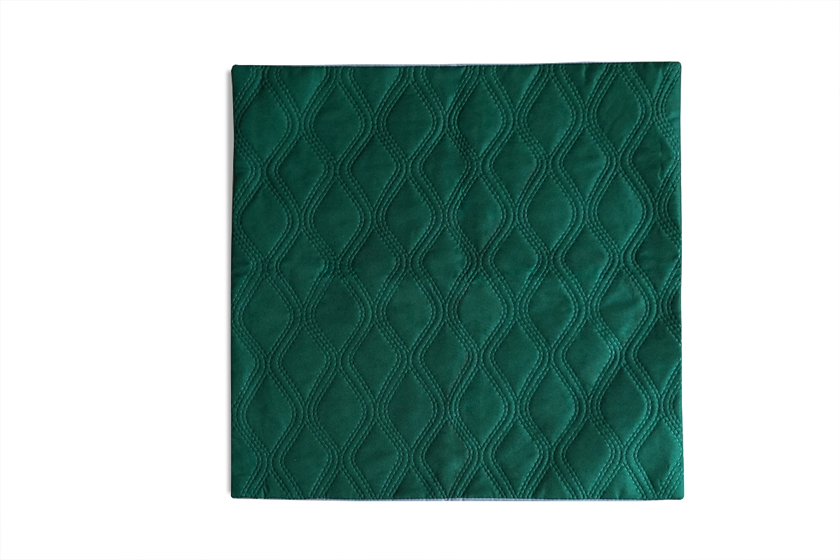 Povlak na polštář MAGNUS 40x40 Zelený/Stříbrný Dekorativní povlak na polštář 