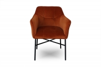 Čalouněná židle Rozalio s područkami - Salvador 14 oranžová / černé nožky židle z podlokietnikami