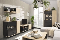 Vitrína trojdverová Madison MD3 - Čierny / dub piškótový čierny Nábytokdo obývačky
