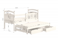 Detská posteľ prízemná výsuvna Amely - Farba Borovica, rozmer 90x200  Posteľ detská prízemná s výsuvným lôžkom Amely - Rozmery