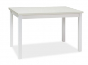 Stôl ADAM biely MAT 100x60  stOL adam biaLy mat 100x60 