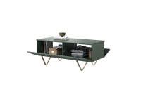 Scalia 120 2K dohányzóasztal fiókkal - matt sötétzöld / arany lábak Zelený konferenční stolek se skříňkou
