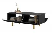 Konferenční stolek Scalia II 2K 120 cm - černý mat / zlaté nožky Konferenční stolek Scalia II 120 2K s úložným prostorem - Černý mat / zlaté nožičky