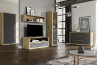 Vitrína prosklená W1D Malta Dub artisan/Grey Šedý Nábytek do obývacího pokoje